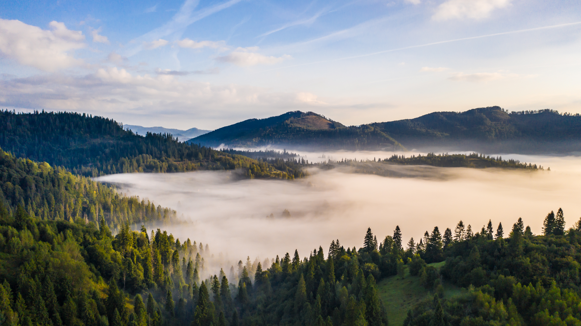 Una impresionante vista aérea de un paisaje montañoso cubierto de densos bosques verdes, con una espesa capa de niebla que recorre los valles bajo un cielo azul despejado.