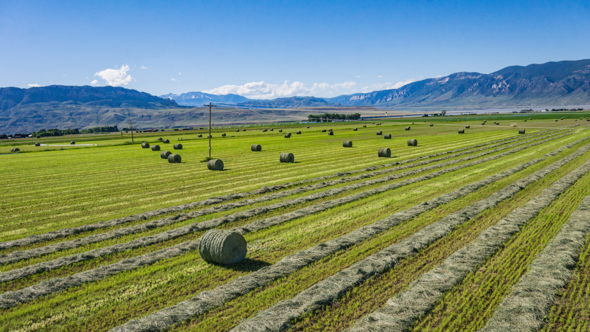 A large farm in Montana