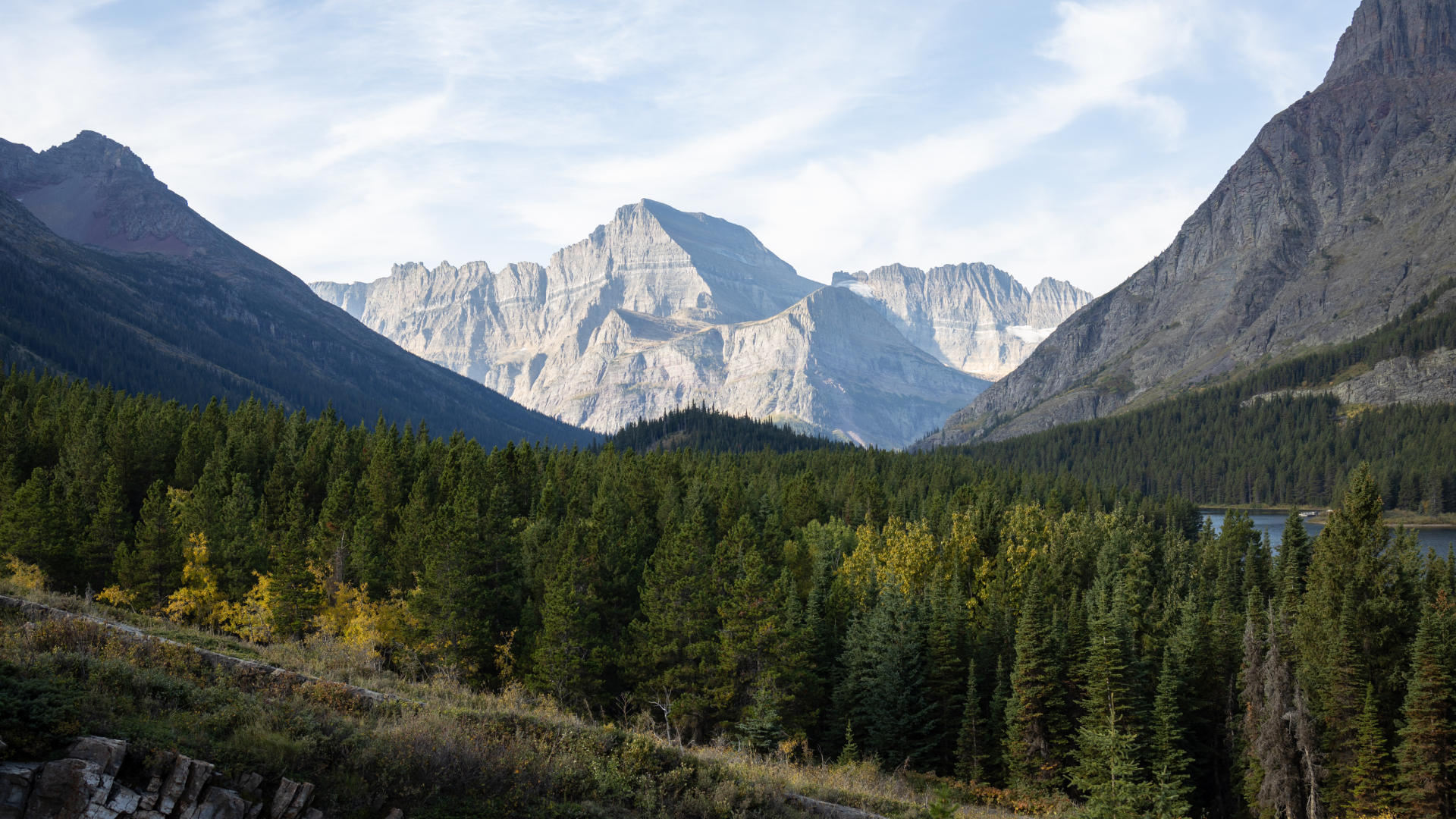 Bosques de pinos y montañas alpinas bajo un cielo luminoso en la agreste naturaleza de Montana.