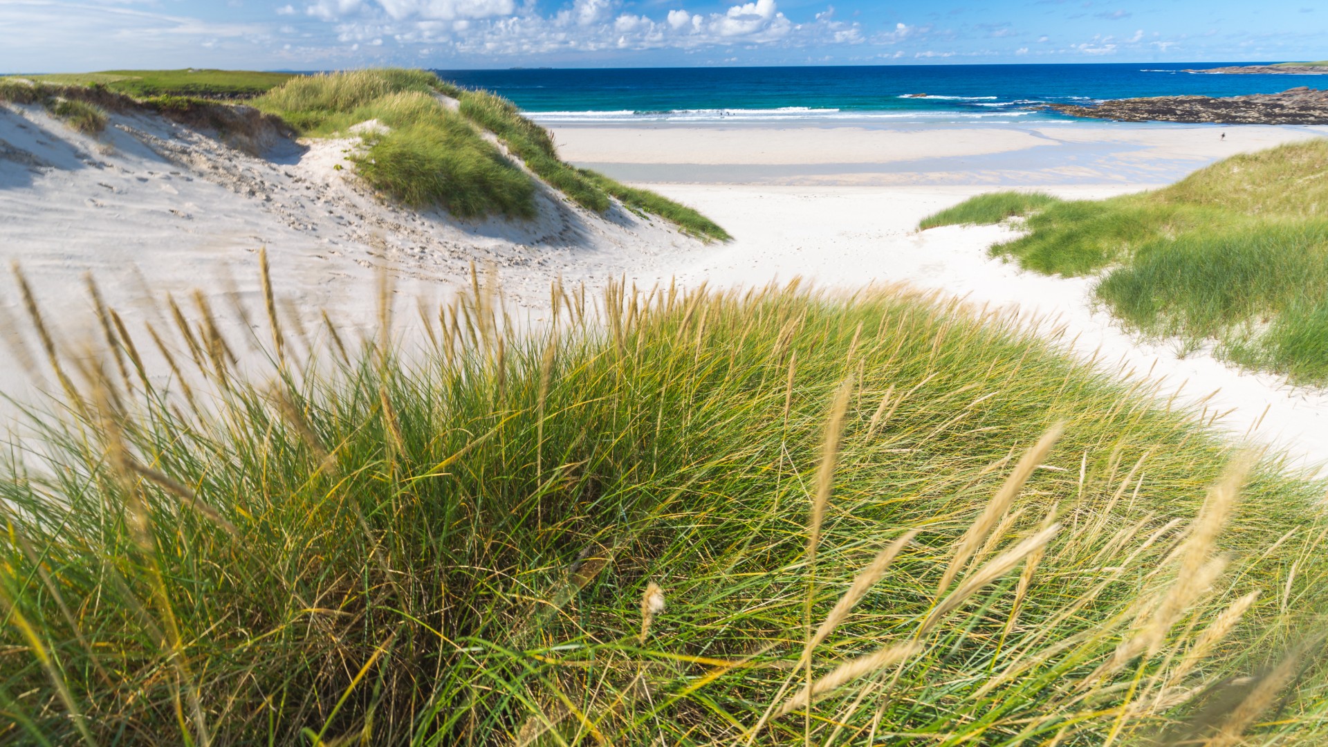 Sand dunes covered with tall grass leading to a peaceful beach and blue ocean under a partly cloudy sky.