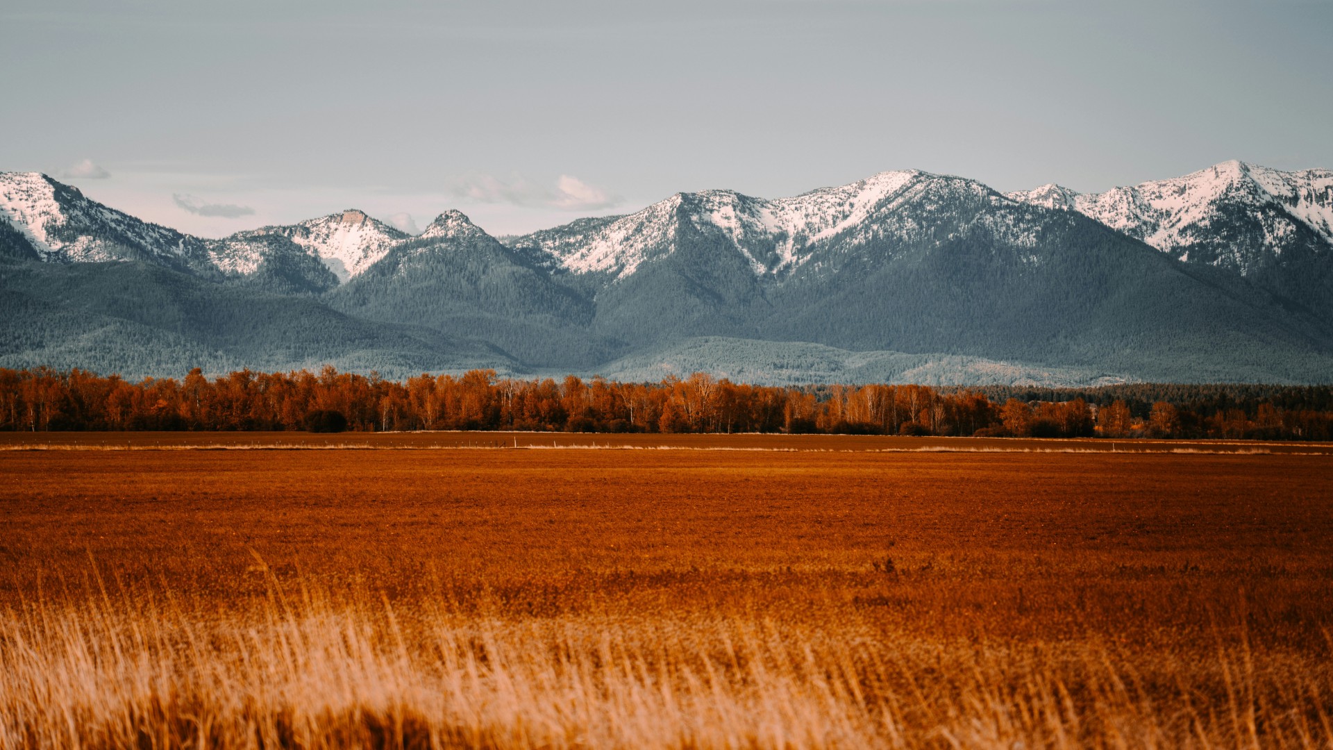 Wide open field with autumn grass and snow-capped mountains in the distance beneath a cloudy sky.