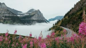 Mountain road winding through a mist-filled valley with rugged peaks and pink wildflowers in the foreground.