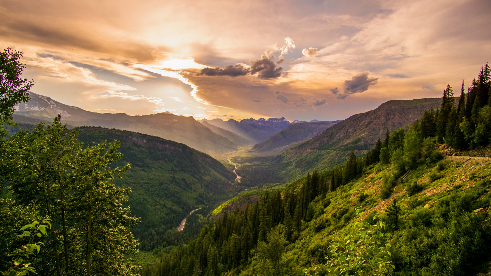 Scenic mountain valley at sunset with evergreen forests, distant peaks, and golden light illuminating the landscape.