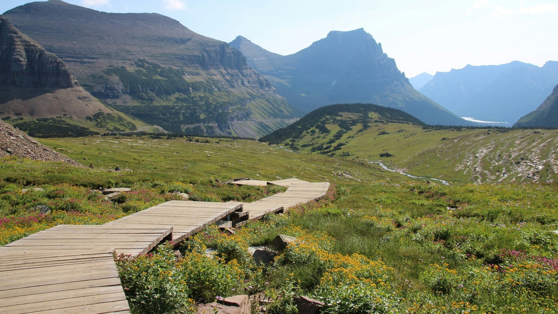 Wooden boardwalk trail through a wildflower meadow beneath rugged mountain peaks in Montana