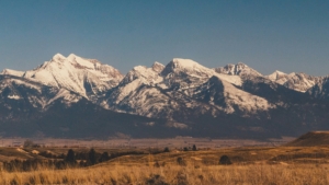 Snow-capped Montana mountains rising above a golden grassland valley under a clear blue sky