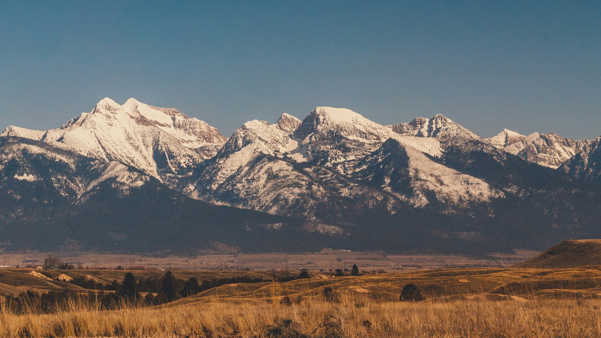 Snow-capped Montana mountains rising above a golden grassland valley under a clear blue sky