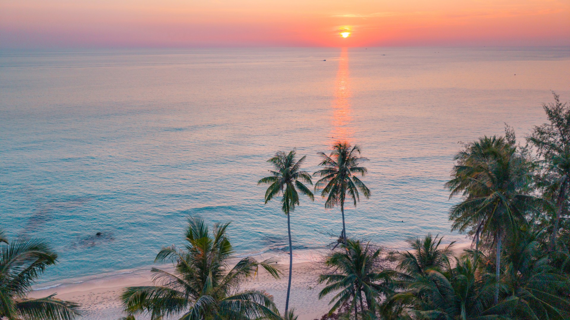 Aerial view of palm trees above a sandy beach at sunset near Palm Beach Gardens, Florida