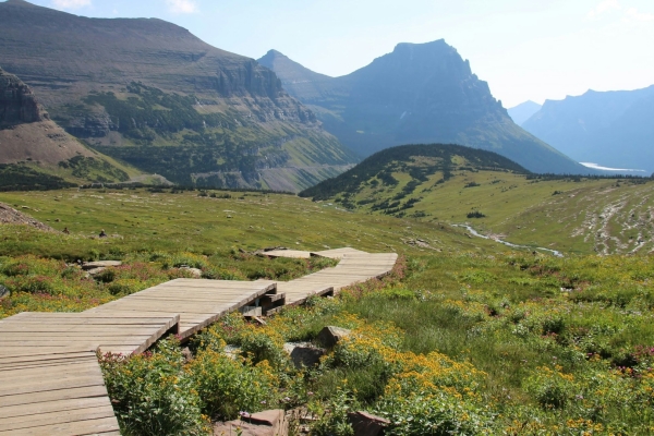 Sendero de madera que atraviesa un prado de flores silvestres a los pies de escarpadas cumbres montañosas en Montana