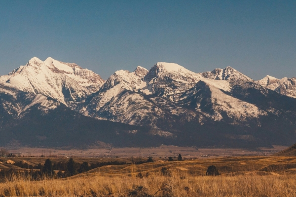 Las montañas de Montana, coronadas de nieve, se alzan sobre un valle de praderas doradas bajo un cielo azul y despejado