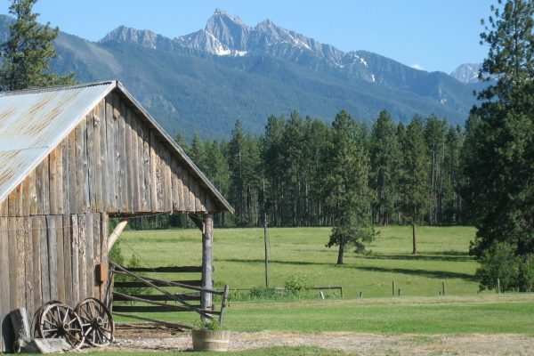 Rustic wooden barn in a grassy field with pine trees and mountains in the background.