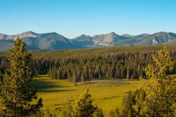 Wide view of a mountain range rising above a dense evergreen forest and open meadow under a clear blue sky.