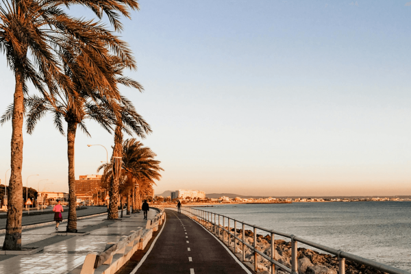 a serene coastal walkway lined with tall palm trees on one side and a calm ocean on the other. The pathway, designated for pedestrians and cyclists, stretches into the distance, bathed in the warm, golden glow of the setting sun. The sky is a gradient of soft blue and pink hues, creating a peaceful atmosphere. A few people can be seen walking and jogging along the path, adding a touch of life to the tranquil scene. This image captures a relaxing moment along a scenic beachfront.