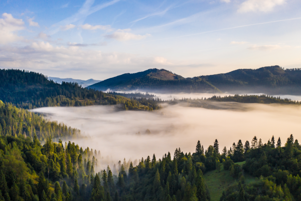 A breathtaking aerial view of a mountain landscape covered in dense green forests, with a thick layer of fog rolling through the valleys under a clear blue sky.