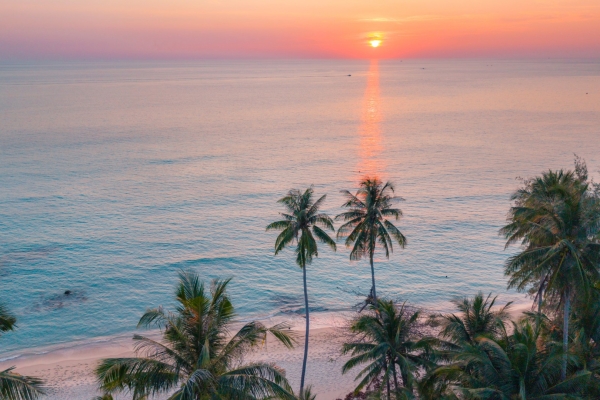 Vista aérea de unas palmeras sobre una playa de arena al atardecer, cerca de Palm Beach Gardens, Florida