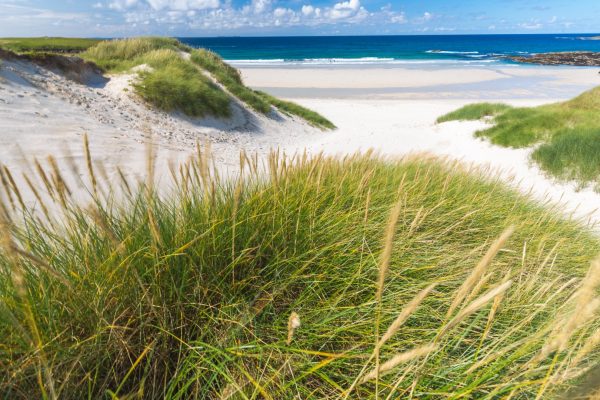 Sand dunes covered with tall grass leading to a peaceful beach and blue ocean under a partly cloudy sky.