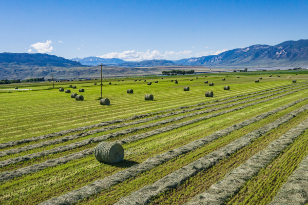 A large farm in Montana