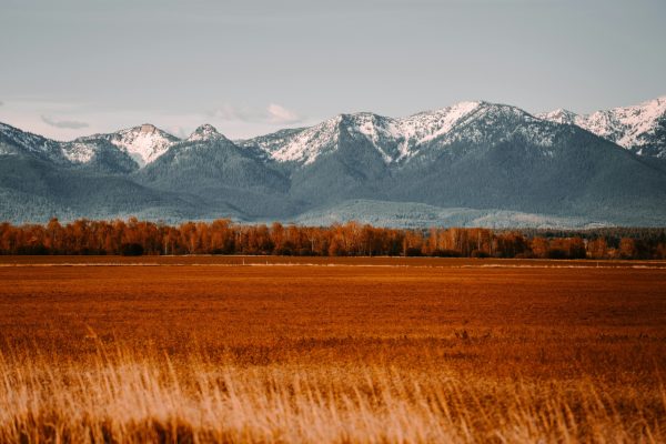 Wide open field with autumn grass and snow-capped mountains in the distance beneath a cloudy sky.