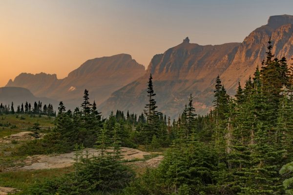 Cordillera al atardecer cerca de Bozeman, Montana, con árboles de hoja perenne en primer plano