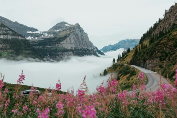 Mountain road winding through a mist-filled valley with rugged peaks and pink wildflowers in the foreground.
