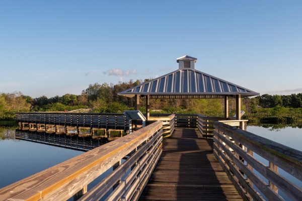 Wooden boardwalk leading to a covered observation pavilion overlooking a calm lake surrounded by lush greenery under a clear blue sky.