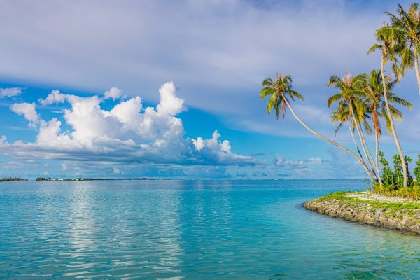 Una tranquila laguna de color turquesa con palmeras a lo largo de la orilla, cerca de West Palm Beach